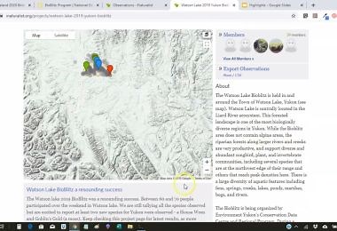 Setting Up an iNaturalist Project for Your BioBlitz