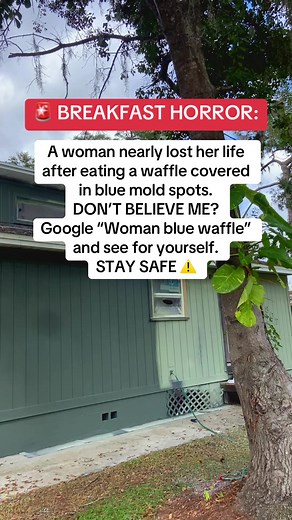 Desastre del desayuno: Mujer y el waffle azul