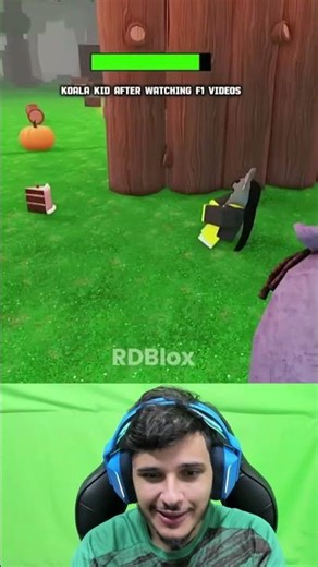 Criança Koala Pilotando Fórmula 1