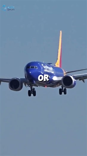 Inside Water Ingestion Testing #airplane #aviation #shorts