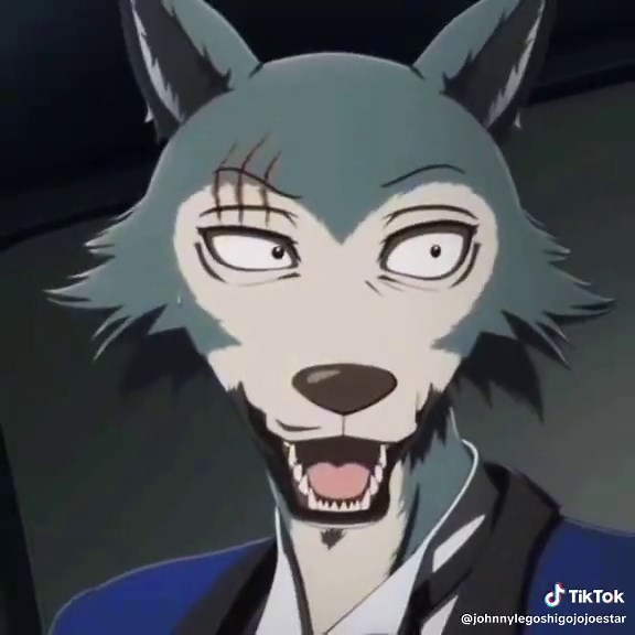 Legoshi from Beastars: Cute Moments Compilation