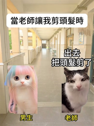 【😺CatDramaCorner】When the teacher asked me to cut my hair #cat #catmemelishow #00s #shorts #short...