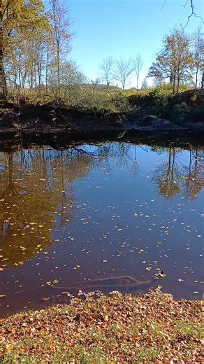 Aiviekste rudenì🍁🍁🍁 | Z/S "Zvaigznītes"