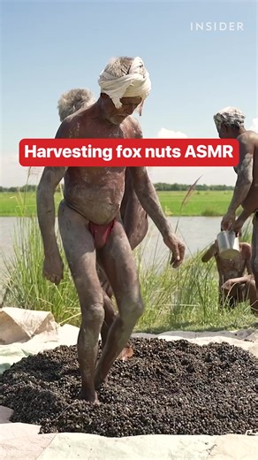 13K views · 80 reactions | This labor-intensive process takes a lot of stomping, shaking, and popping | Business Insider Africa | Facebook