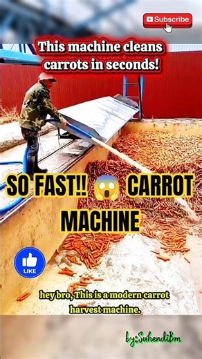Modern Carrot Harvest Machine 🥕 Fast & Easy Cleaning!
