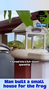 1.6K views · 14 reactions | Man built a small house for the frog 殺 | Animal Rescue Group | Facebook