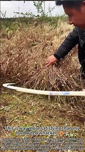 Sickle Grass Cutting: So Smooth! 🌾