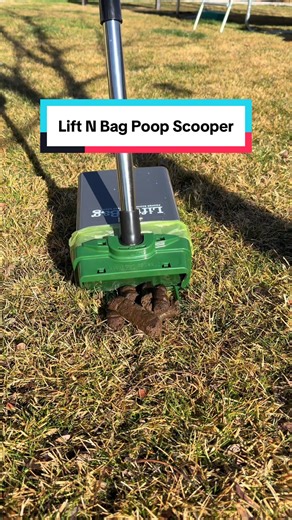 The Easiest Way to Scoop Your Dog's Poop