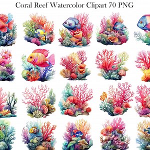 Coral Reef Clipart, Watercolor Coral Reef PNG Bundle, Underwater Clipart, Summer, Sea, Ocean, Digital Download - Etsy
