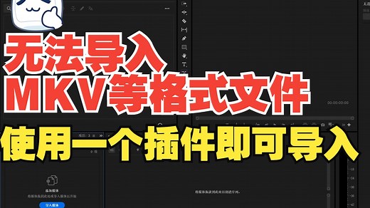 PR2025版本无法导入.avi,.mkv文件，显示不支持文件格式，无法打开文件，用influx v1.5.3版本