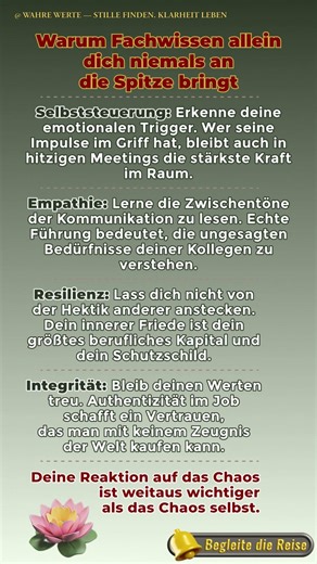 Warum Fachwissen allein dich niemals an die Spitze bringt.