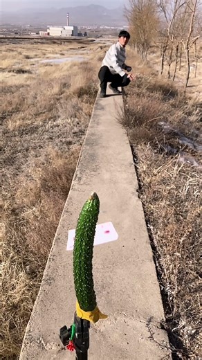 飞牌绝技，一张扑克牌的威力