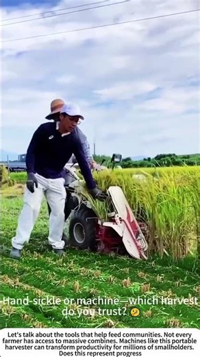 Small Machine, Big Job: Mini Rice Harvester in Action 🚜🌾