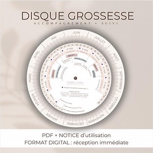 Printable Pregnancy Chart | Due Date Calculator | Week-by-week Tracking | Pregnancy Tracker | Printable PDF Pregnancy Tool - Etsy Canada