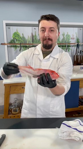 How to Fillet Red Mullet Fish Like a Pro