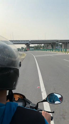 Orange wing Amazon parrot #birds #pets #minivlog | Dipanjan Saha