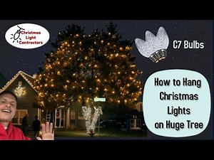 How to Hang Christmas Lights: Decorating Large Tree