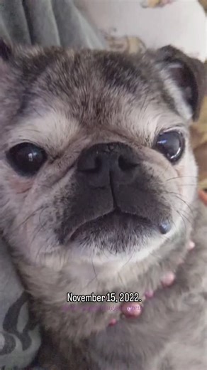 1.5K views · 1.3K reactions | Sometimes all you need to be is a...