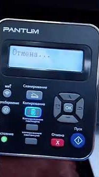 Error 01 on Pantum M6500NW or Pantum M6550NW: when repairs cost as much as a new printer!