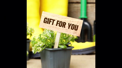 10 Pieces 3.5x1.6x0.2 Inch Unfinished Wood Rectangle Board for Paintings, 0.2 Inch Thick Natural Pine Wooden Blocks Panels Plank, for DIY Art Crafts, Architectural Models, Dollhouse Accessories