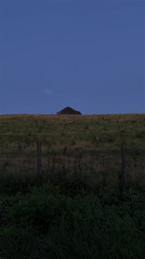 Firefly Watching in Appalachia: Ethel Cain Virginia Night Guide