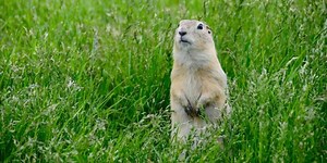 Go from the beginning - converting between types