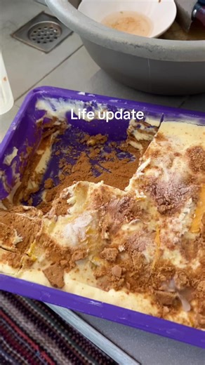 New Year Reflections: Life Update and Mango Float