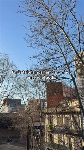 Barcelona y el Viento: Reflexiones sobre la Verdad