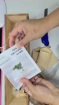 Unboxing Package From Amazon | Bonsai Tree Kit for Beginners - 5 Unique Japanese Bonsai Seeds
