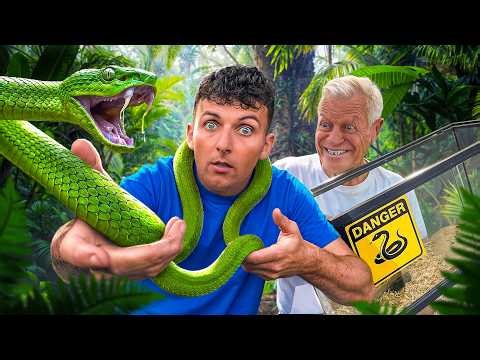 If this snake bites me, I'll die. (ft @INFFAUNE_Officiel)