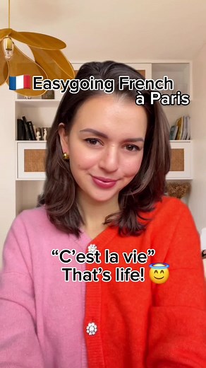 Exploring the Meaning of 'C'est la vie' in French | French Language Lesson