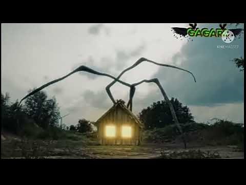 spider house