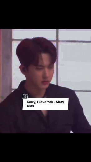 Sorry I Love You - Stray Kids Lyrics Translation