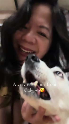 She rarely smiles during selfies so gotta take some shots whilst she’s smiling!☺️ #calypso #collie #dogmum #bff #loveyou