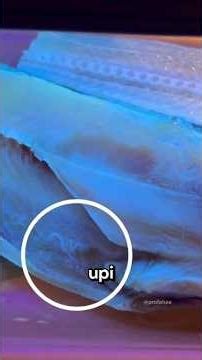 Rahasia dapur sushi ini bikin kamu merinding!🤢#shorts