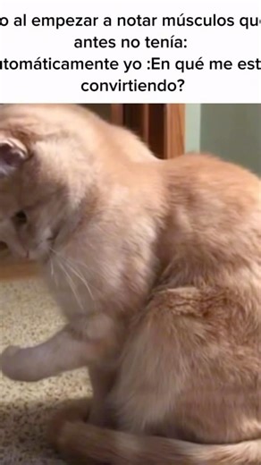 Soy el bicho #gym #bumstead #cbum #entrenamiento #fitness #baki #mrolympia #cr7 #messi #topG #siu