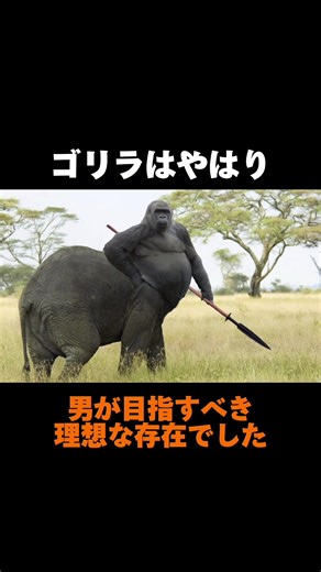 イケメンゴリラシャバーニの魅力と愛情溢れる行動