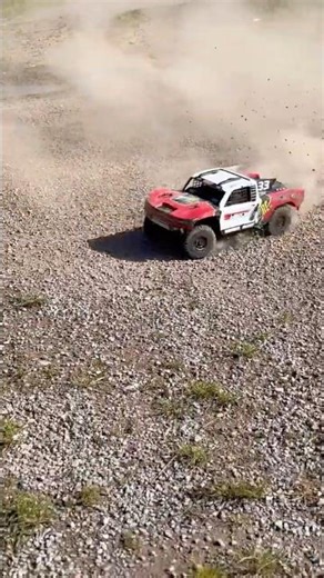 TEAM CORALLY SHIROI - nest release of 2025?