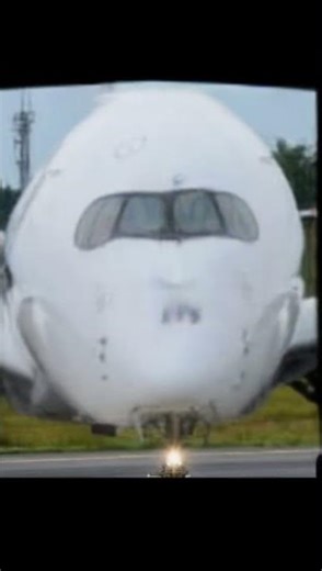 An A350 Just Screamed "OMG!!!" ✈️😱 | Ultimate Aviation Reaction Meme