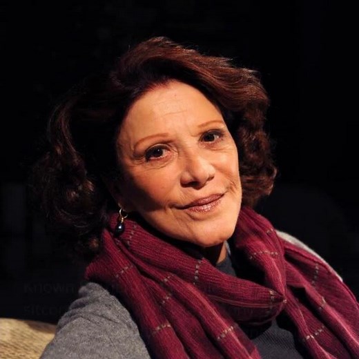 'Alice' Star Linda Lavin's Final Journey: A Legacy Remembered
