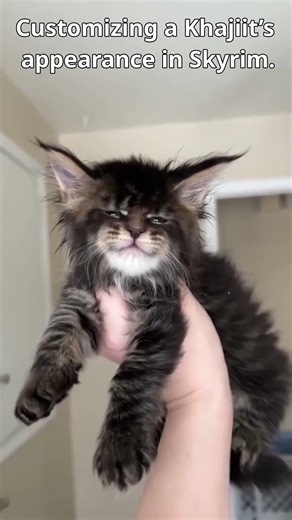 Khajiit character creation in Skyrim #gamer #skyrim #games