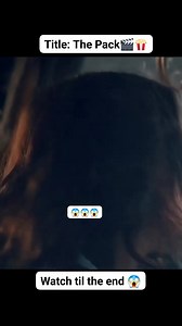 26K views · 625 reactions | This moment looks simple… but it changes everything.$ In the movie “The Pack”, one small decision leads to an unexpected outcome. Would you have done the same?  Drama | Family | Storytelling #reels  #usareel #trending #viral | Mark Del Rosario | Facebook