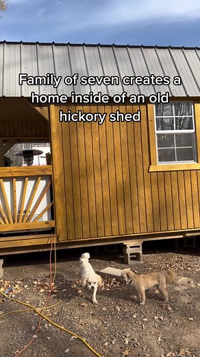 Homestead Living: Transforming Sheds into Tiny Houses