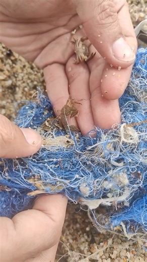Vida Badalona on Instagram: "🌊💔 El temporal ha deixat una imatge que fa mal: la platja plena de plàstics i residus. Spoiler: això no ve del mar. Ve de nosaltres. El que veiem avui és només la punta de l’iceberg. Molta més brossa queda sota l’aigua convertida en microplàstics... 👉 Però no ens quedem mirant-ho. Passem a l’acció. 🔥 ACTIVEM EL REPTE #1BossaPelMar Com funciona? ✔️ Vine a Espaimar i et donarem 1 bossa i guants o porta de casa ✔️ Recull 1 bossa de brossa de la platja ✔️ Fes foto o 