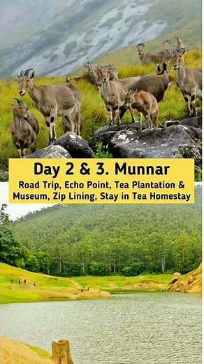 Kerala 5 Days Itinerary | Beast Way to Spend 5 Days in Kerala
