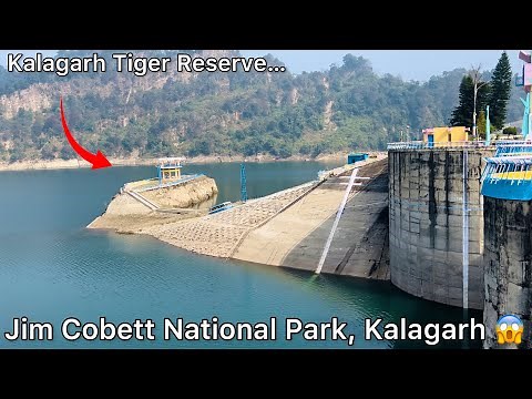 Jim Corbett National Park, Kalagarh || Kalagarh Ka Dam || Jalalabad Vlogs