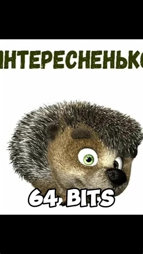 Ежик Интересненько: Все о битах