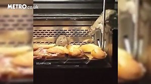 Rats spotted raiding bakery pastry counter