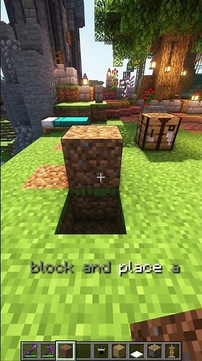 The Secret Way to Place Books in Minecraft