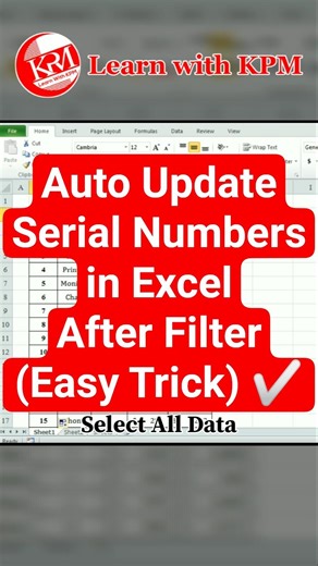 Auto Update Serial Numbers in Excel After Filter (Easy Trick) ✅ #shorts #excel